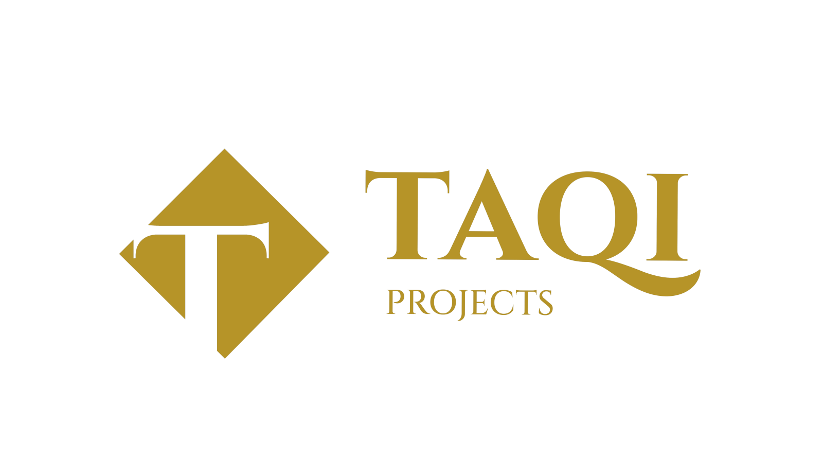Oprichting Taqi Projects